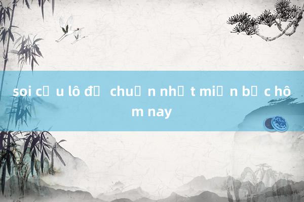 soi cầu lô đề chuẩn nhất miền bắc hôm nay