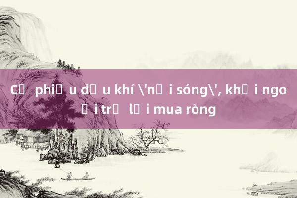 Cổ phiếu dầu khí 'nổi sóng'， khối ngoại trở lại mua ròng