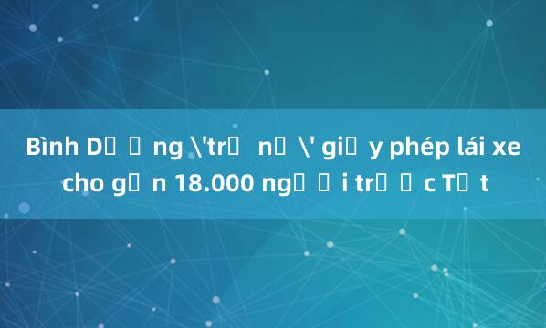 Bình Dương 'trả nợ' giấy phép lái xe cho gần 18.000 người trước Tết