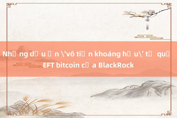 Những dấu ấn 'vô tiền khoáng hậu' từ quỹ EFT bitcoin của BlackRock