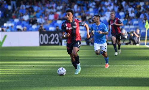 What's a Bingo Game?